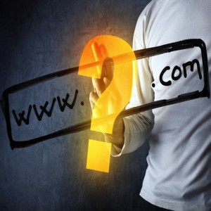 domain name register