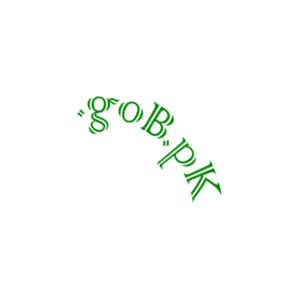gob-pk-domain-pakistan